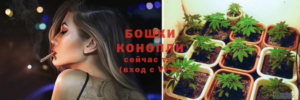 PSILOCYBIN Беломорск