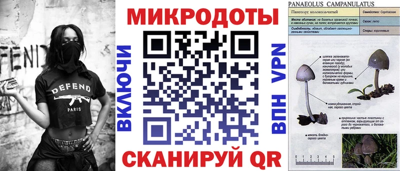 Псилоцибиновые грибы Psilocybe  Власиха 